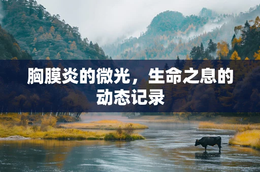 胸膜炎的微光，生命之息的动态记录