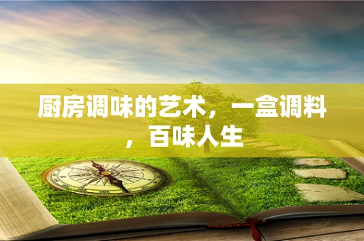 厨房调味的艺术，一盒调料，百味人生