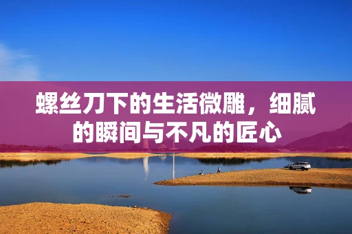 螺丝刀下的生活微雕，细腻的瞬间与不凡的匠心
