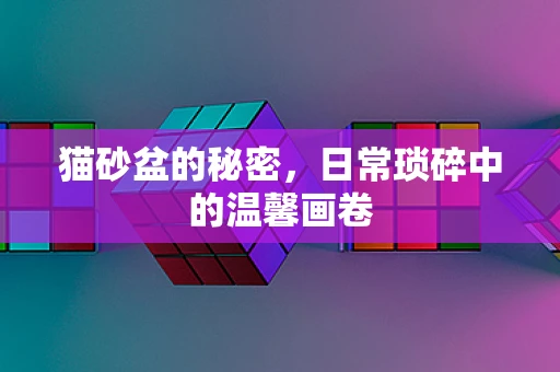 猫砂盆的秘密，日常琐碎中的温馨画卷