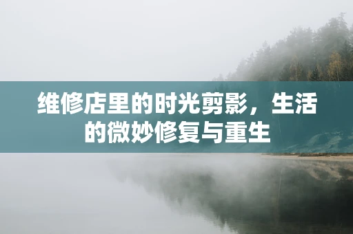 维修店里的时光剪影，生活的微妙修复与重生