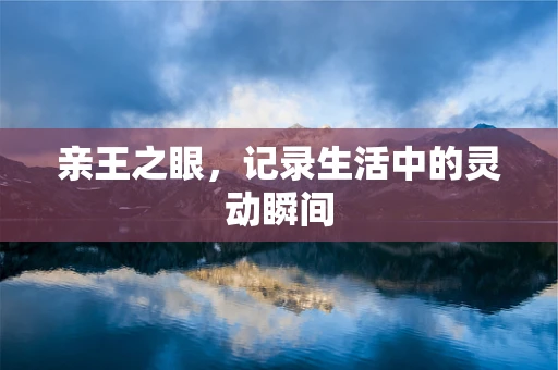亲王之眼，记录生活中的灵动瞬间