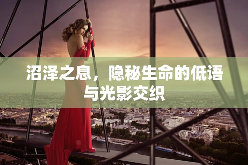 沼泽之息，隐秘生命的低语与光影交织