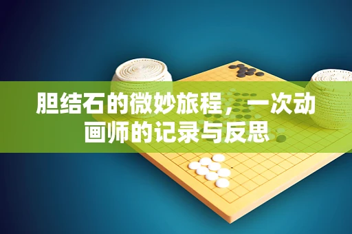 胆结石的微妙旅程，一次动画师的记录与反思
