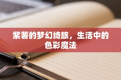 紫薯的梦幻绮旅，生活中的色彩魔法