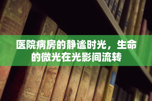 医院病房的静谧时光，生命的微光在光影间流转