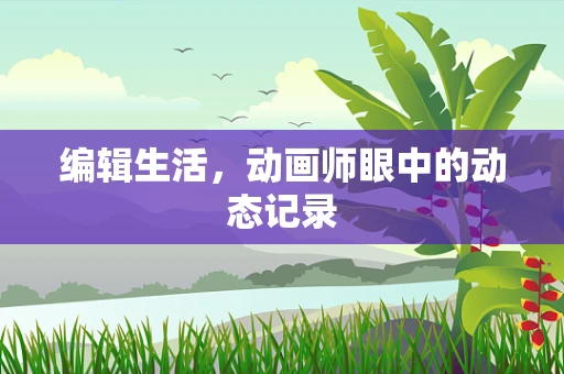 编辑生活，动画师眼中的动态记录