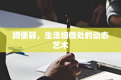 蹲便器，生活细微处的动态艺术