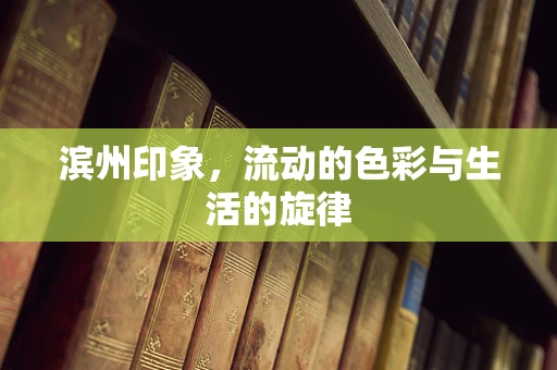 滨州印象，流动的色彩与生活的旋律