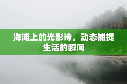 海滩上的光影诗，动态捕捉生活的瞬间