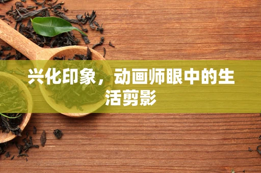 兴化印象，动画师眼中的生活剪影