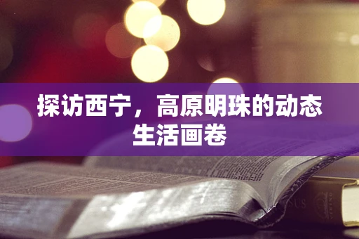 探访西宁，高原明珠的动态生活画卷