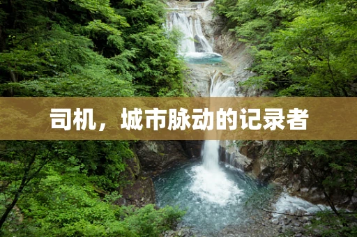 司机，城市脉动的记录者
