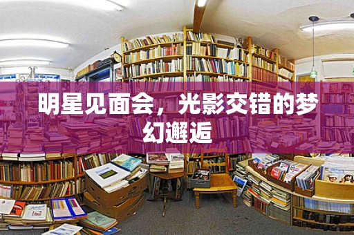 明星见面会，光影交错的梦幻邂逅