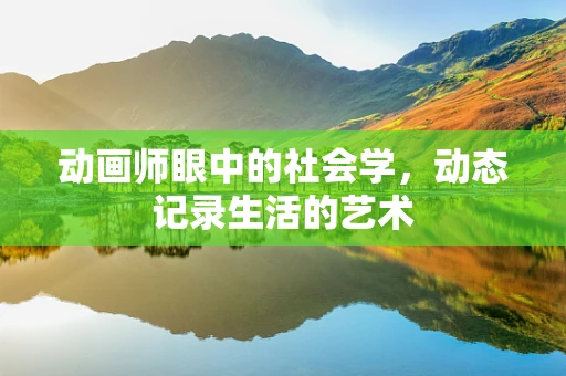 动画师眼中的社会学，动态记录生活的艺术