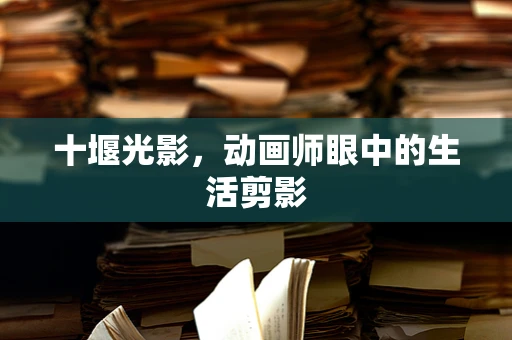 十堰光影，动画师眼中的生活剪影