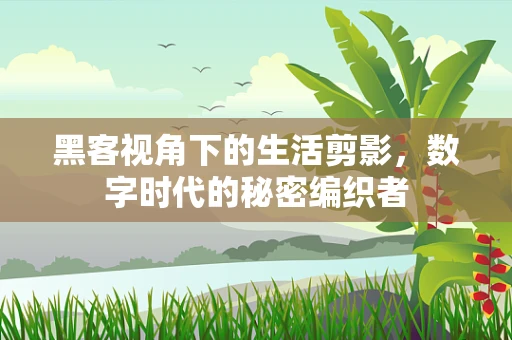 黑客视角下的生活剪影，数字时代的秘密编织者