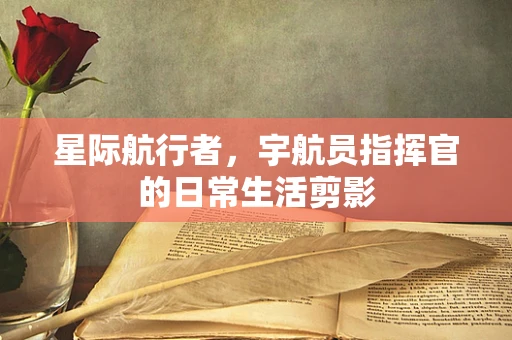 星际航行者，宇航员指挥官的日常生活剪影