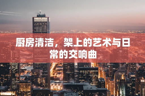 厨房清洁，架上的艺术与日常的交响曲