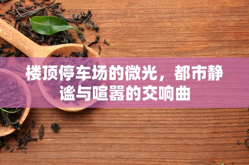 楼顶停车场的微光，都市静谧与喧嚣的交响曲