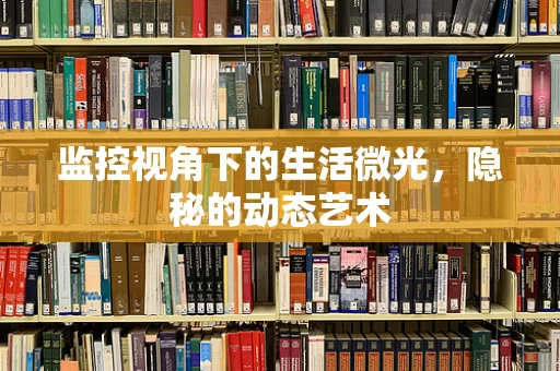 监控视角下的生活微光，隐秘的动态艺术
