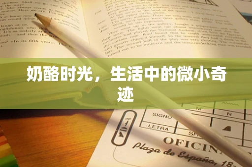 奶酪时光，生活中的微小奇迹