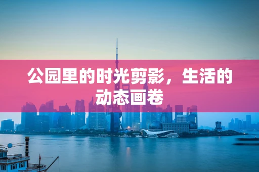 公园里的时光剪影，生活的动态画卷