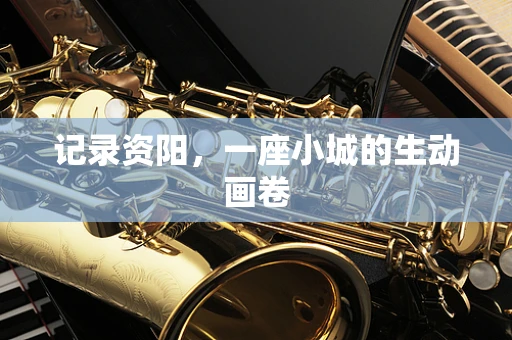 记录资阳，一座小城的生动画卷