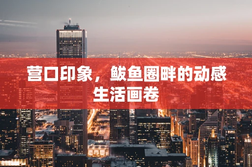 营口印象，鲅鱼圈畔的动感生活画卷
