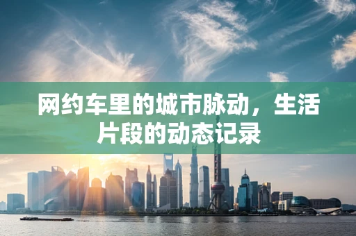 网约车里的城市脉动，生活片段的动态记录