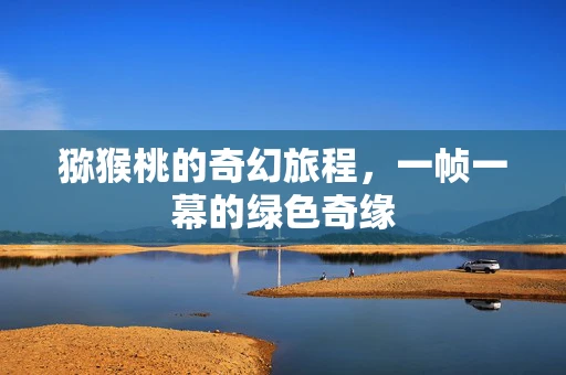 猕猴桃的奇幻旅程，一帧一幕的绿色奇缘
