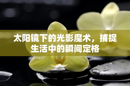太阳镜下的光影魔术，捕捉生活中的瞬间定格