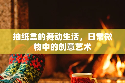 抽纸盒的舞动生活，日常微物中的创意艺术