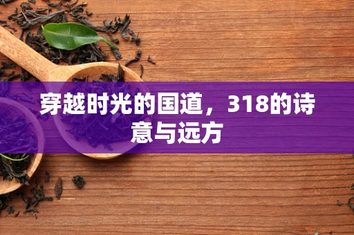 穿越时光的国道，318的诗意与远方