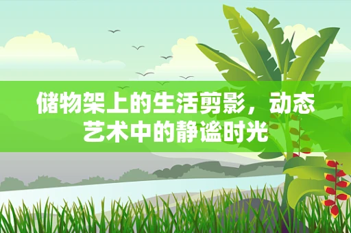 储物架上的生活剪影，动态艺术中的静谧时光
