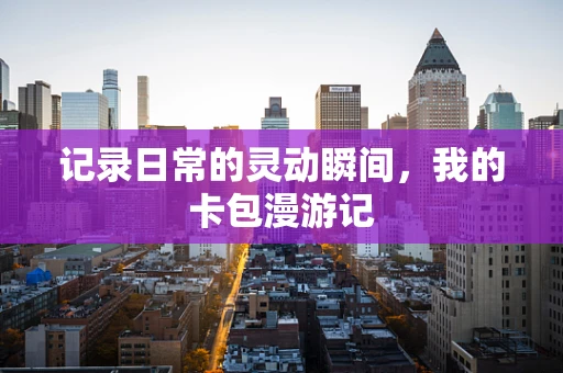 记录日常的灵动瞬间，我的卡包漫游记