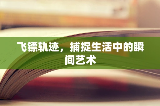 飞镖轨迹，捕捉生活中的瞬间艺术