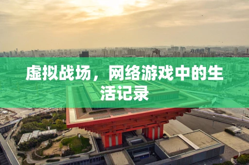 虚拟战场，网络游戏中的生活记录