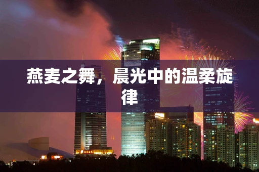 燕麦之舞，晨光中的温柔旋律