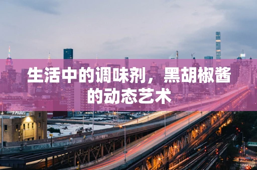 生活中的调味剂，黑胡椒酱的动态艺术
