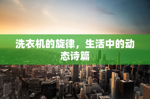 洗衣机的旋律，生活中的动态诗篇