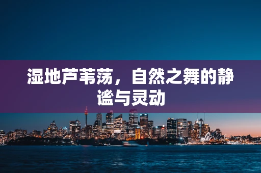 湿地芦苇荡，自然之舞的静谧与灵动