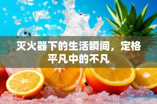 灭火器下的生活瞬间，定格平凡中的不凡