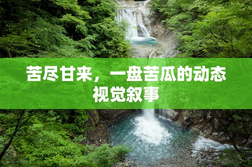 苦尽甘来，一盘苦瓜的动态视觉叙事