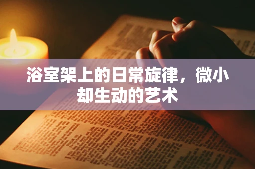 浴室架上的日常旋律，微小却生动的艺术