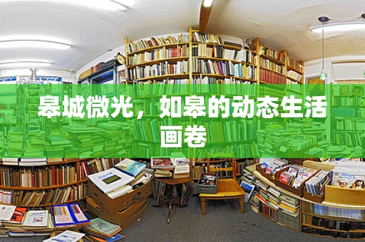 皋城微光，如皋的动态生活画卷