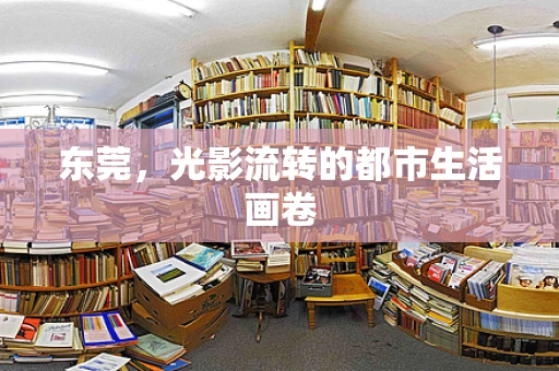 东莞，光影流转的都市生活画卷
