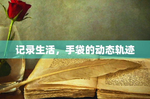 记录生活，手袋的动态轨迹