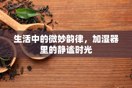 生活中的微妙韵律，加湿器里的静谧时光