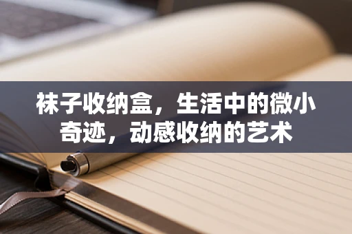 袜子收纳盒，生活中的微小奇迹，动感收纳的艺术